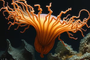 General Characteristics of CNIDARIA