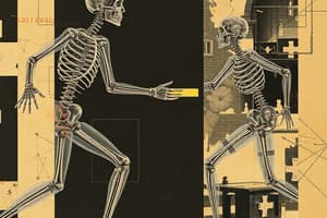 Joint Motion Biomechanics