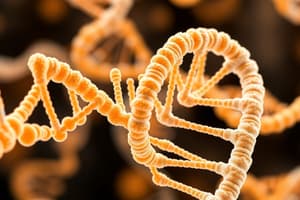 Nucleotides and Nucleic Acids Quiz