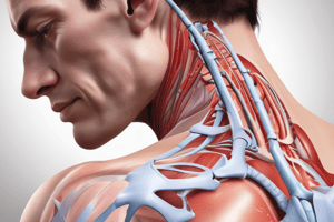 Rotator Cuff Impingement Stages