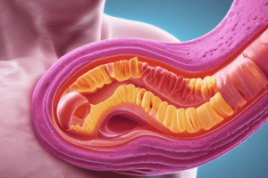 Peptic Ulcer Assessment: Perforation Signs