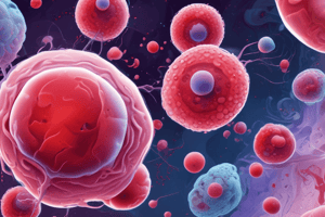 Blood Cells: Identifying Neutrophils