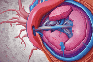 Secondary Hypertension and Renal Disease Quiz