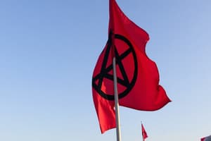 Anarchism: Political Philosophy Overview