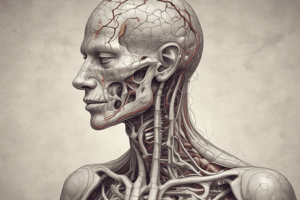 Intercostal Neuralgia Anatomy Lecture 13