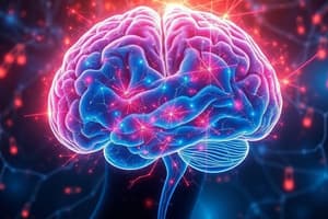 Impact of Stroke on Cognitive Function