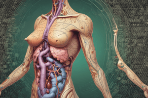 Endocrine: Thyroid Gland