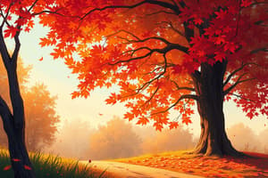 To Autumn by John Keats Quiz