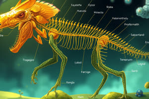 Biology Taxonomy Basics