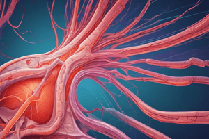 Biology: Connective Tissue Structure and Function