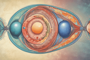 Meiosis Stages and Events