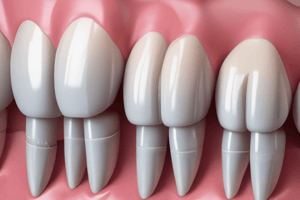 Dentistry: Abfraction and Occlusal Forces