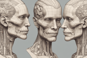 Medical Terminology: Head and Neck Anatomy