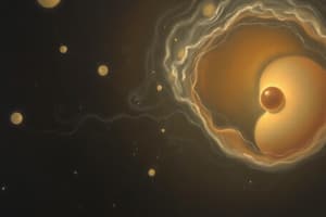 Embryology: Sperm Journey and Fusion