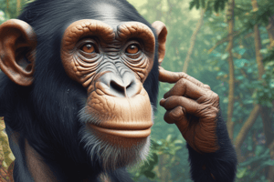 Chimpanzee Memory and Human Evolution Quiz