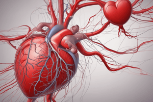 The Cardiovascular System Overview Quiz