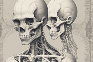 Anatomía del hueso iliaco y esternón