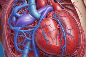 Fetal Circulation Overview