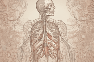 Respiratory Mechanics