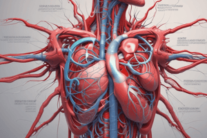 Cardiovascular System Overview