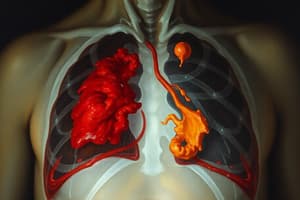 Pulmonary Contusion Overview