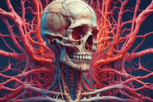 Anatomy of the Nervous System