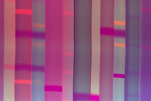 Biochemistry: Protein Electrophoresis Techniques.  9