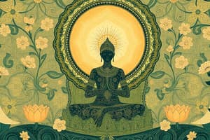 Meditation Practice Insights