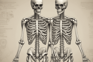 Biology Chapter 7: Skeletal System