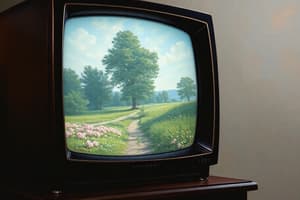 History of Television