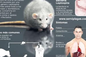 Leptospirosis: Introduction and Clinical Presentations