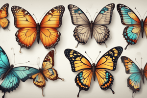 Butterfly Life Cycle and Metamorphosis Quiz