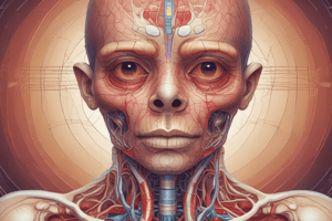 Adrenal Gland Anatomy and Function