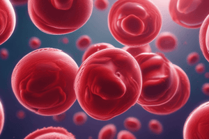 Red Blood Cells Function and Production