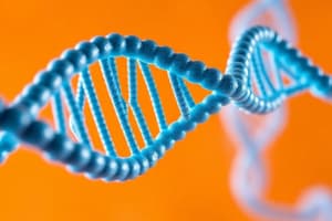 DNA Replication Overview and Meselson-Stahl Experiment