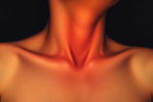 Endocrine System Overview and Thyroid Gland