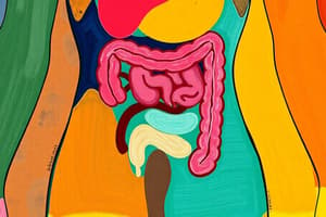 Human Digestive System Quiz