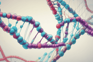 DNA Replication: Lead and Lag Strands