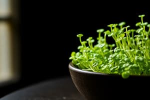 Microgreens Basics Quiz