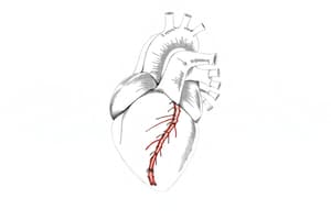 Fisiologia Cardiaca e Legge di Frank-Starling (Fisiologia 23)