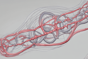 Skeletal Muscle Structure and Proteins