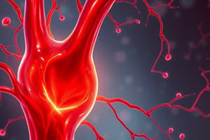 Venous Hemodynamics and Vessel Structure