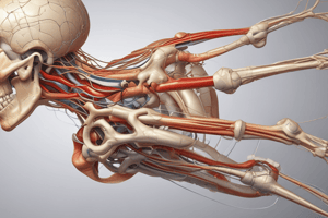 Nerve Injuries in the Upper Limb