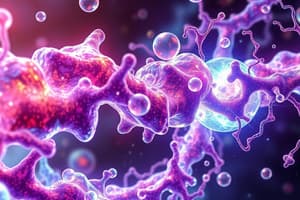 Biochemistry Nucleotide Metabolism Part 2