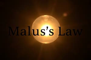 Malus's Law and Polarization of Light