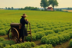 Agricultural Practices in Sacramento Valley