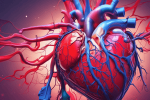 Blood Flow Through the Heart Quiz