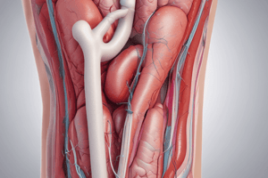 Diagnosis of Deep Vein Thrombosis (DVT) Modalities