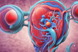 Aldosterone and Alpha Intercalated Cells