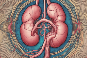 Renal Physiology: Regulation of Plasma Components